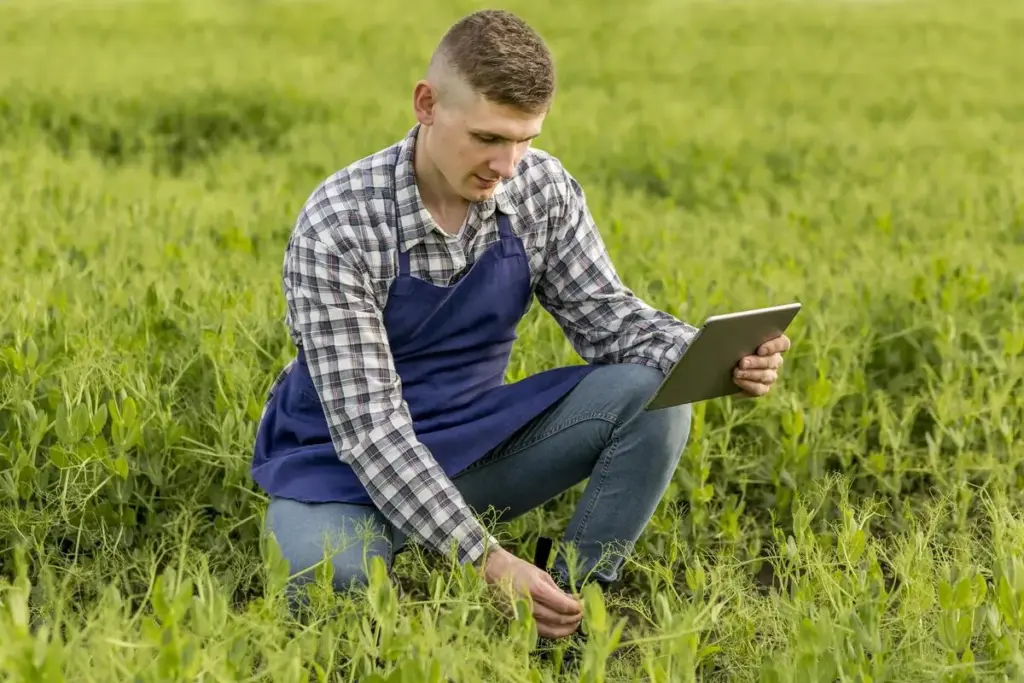 planejamento agricola